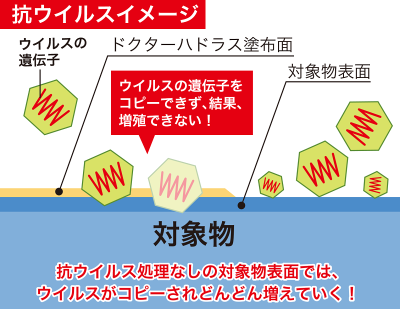 抗ウイルスイメージ
