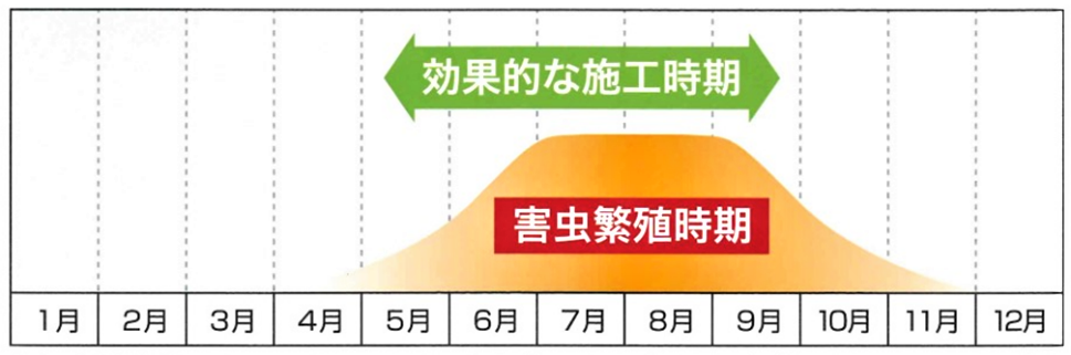 施工時期